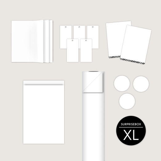 Cadeauverpakkingen Surprise Box XL chique | CollectivWarehouse