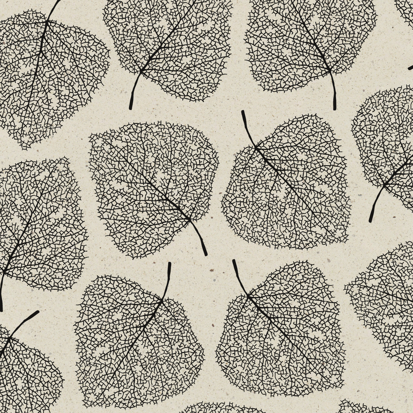 Cadeaupapier Skeleton Leaves grass paper/zwart | CollectivWarehouse