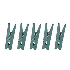 Houten mini knijpers 35mm mint | CollectivWarehouse